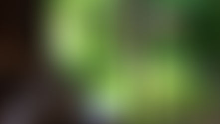 2024年9月23日　寄り道で新たな発見！