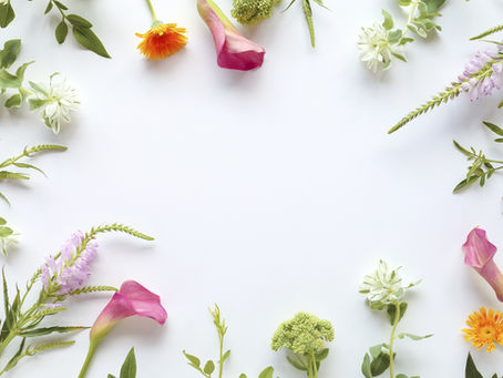 2021年12月3日　素敵なかおるさんはもうすぐ97歳！