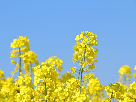 2024年7月25日　「食に添う人に添う」青木紀代美先生