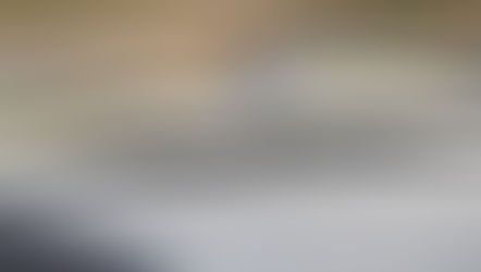 2024年12月23日　ズームで読書会！