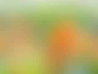 2023年9月25日　花のある暮らし