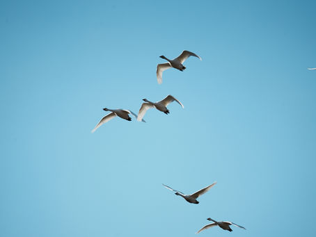 2023年3月1日　今日から弥生三月！