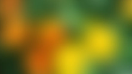 2024年9月30日　静かな日曜日でした