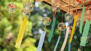 2025年7月31日　26年前は、凌ぎやすい夏でした！