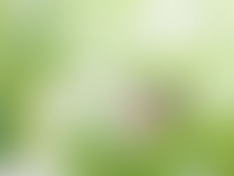 2022年10月17日　『「道草」も食わずに何急ぐ』