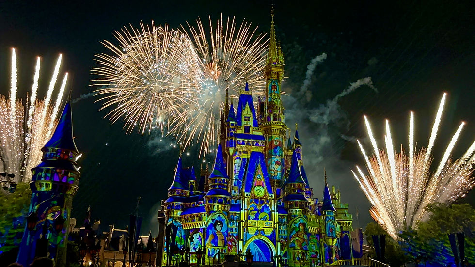 Disney's Magic Kingdom: Unraveling the Business Magic