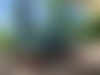 Finale des interclubs Dames 2023/2024.