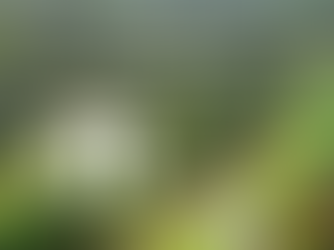 Compétition Maisons du Sud-Ouest et Golf Club Makers