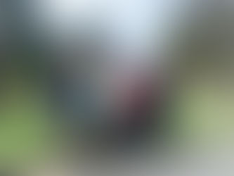 Passage de drapeaux du 3 mars