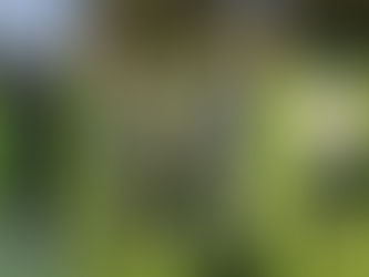 2ème tour du circuit U12 serie 2