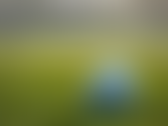 La Coupe de Pâques: dimanche 12 avril