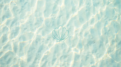 Ocean Vibes branding and brand identity development and digital marketing intro image