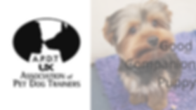 APDT Pup (1).png