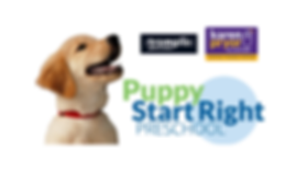 PSR Group Header (2).png