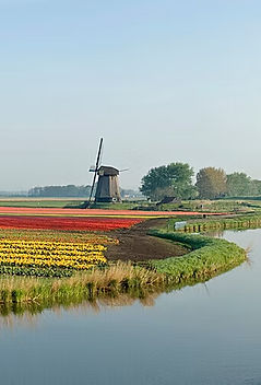 a5a0f9_368f2c35ad7643da90071be79e3a8de6~