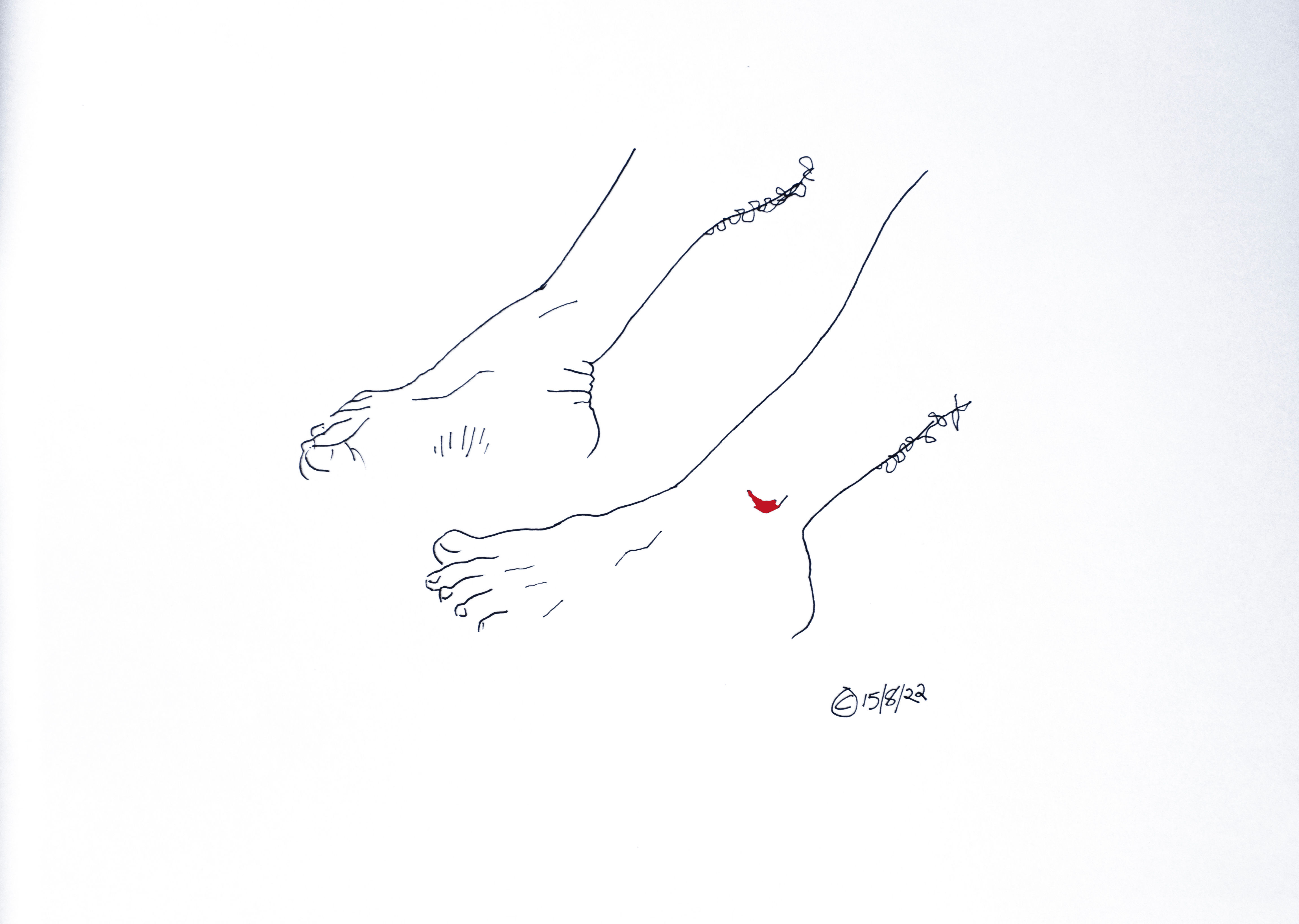 SALE The Cut #4 SALE