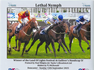 Lethal Nymph's Comeback at Doncaster