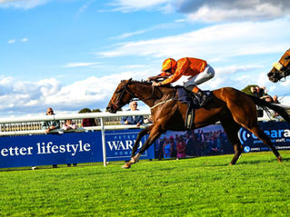 Elegant Erin wins her Fourth race at Beverley