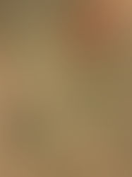 Koledar Osvobodilne fronte Slovenije1947