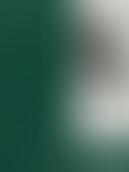 The Memories of Others