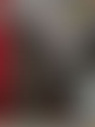 Anatomia de un fracaso, la experiencia socialista chilena