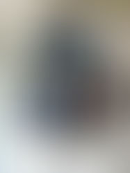 Everybody's Atatürk