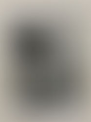 Merci Gonaïves: A Photographer's Account of Haiti and the February Revolution