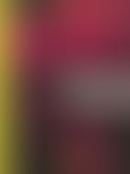 Journal Safar #9 Protest