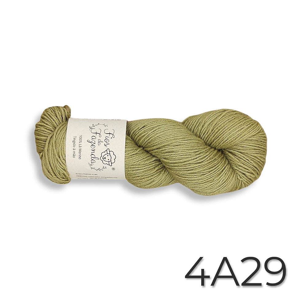 Merino Fingering 4ply #4A29 -Ilex paraguariensis