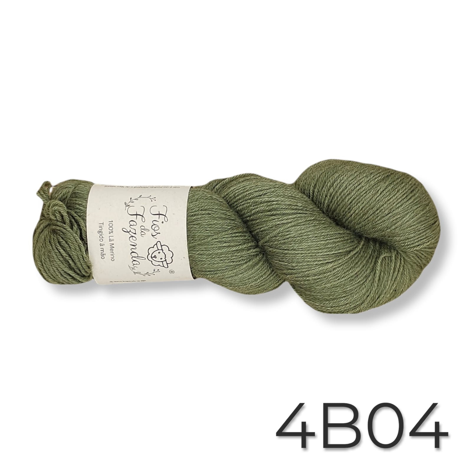 Merino Fingering 4ply #4B04