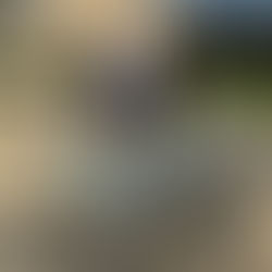 Résultat de l a coupe d'autonme