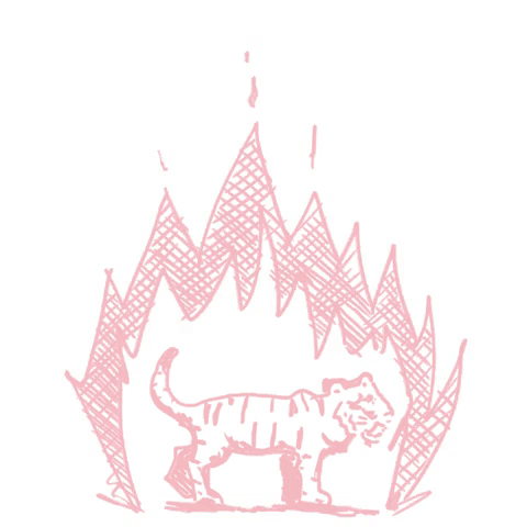 giphy.gif