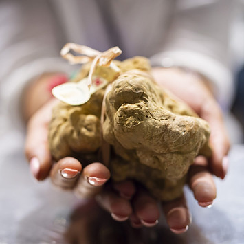 Mercato mondiale del tartufo di Alba 4.jpg