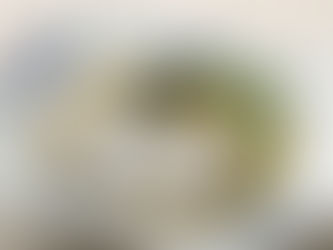 8月の旬のお魚レシピ