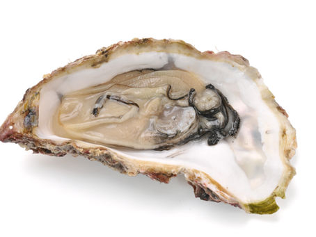 10月の旬のお魚は「牡蠣」