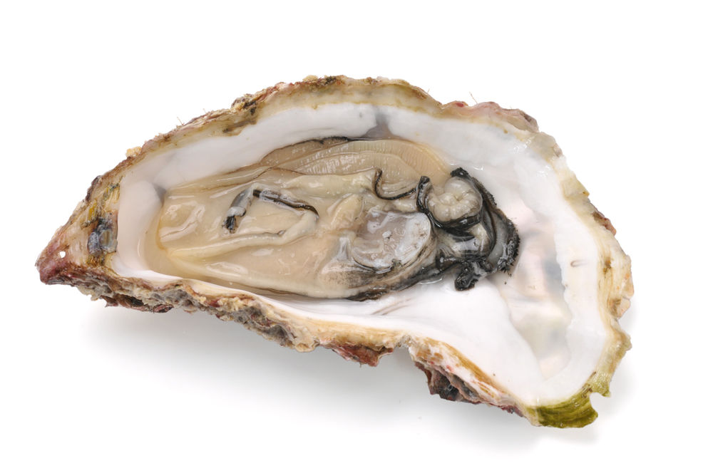 旬の牡蠣は栄養満点 男女それぞれに効果アリだけど 食べ過ぎは危険 ふるなび公式ブログ ふるさと納税discovery