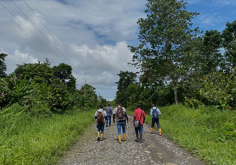 Field Visit