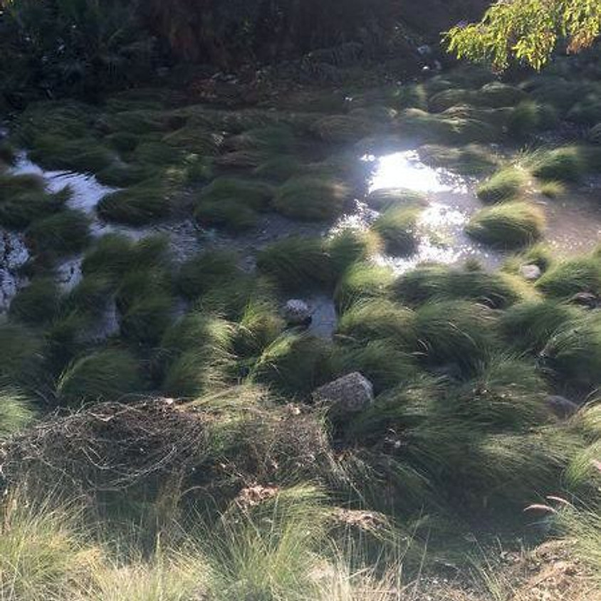 OFF-SITE | Mindfulness Hike: Santiago Creek Wildlife & Watershed Center