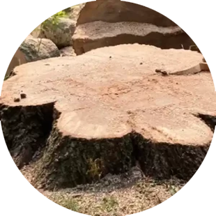 Untitled-3.png
