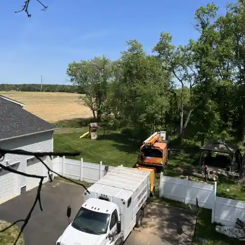 Hamilton-Township-NJ-Tree-Cutting-1.webp