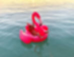 flamingo floatie at utila dive shop