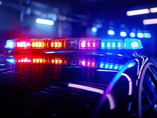 Roubo a Mão Armada em Pizzaria do Bairro Cidade Jardim, em Uberlândia