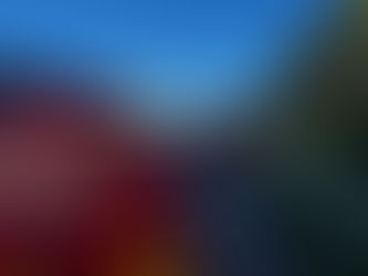 Motociclista morre após colidir com carreta na BR-050, próximo ao Parque do Sabiá, em Uberlândia