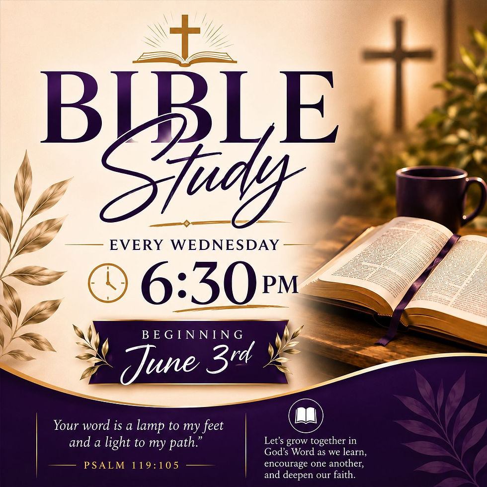 Bible Studies