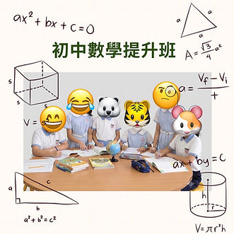 Beige and Brown Professional Mathematics Tutor Instagram Post.jpg