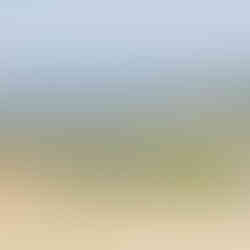 Paysages naturels du parc national de Kui Buri, refuge des éléphants sauvages en Thaïlande