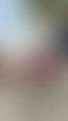 Voyage responsable en Thaïlande : groupe participant à une action CSR sur une plage de Koh Talu