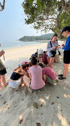 Voyage responsable en Thaïlande : groupe participant à une action CSR sur une plage de Koh Talu
