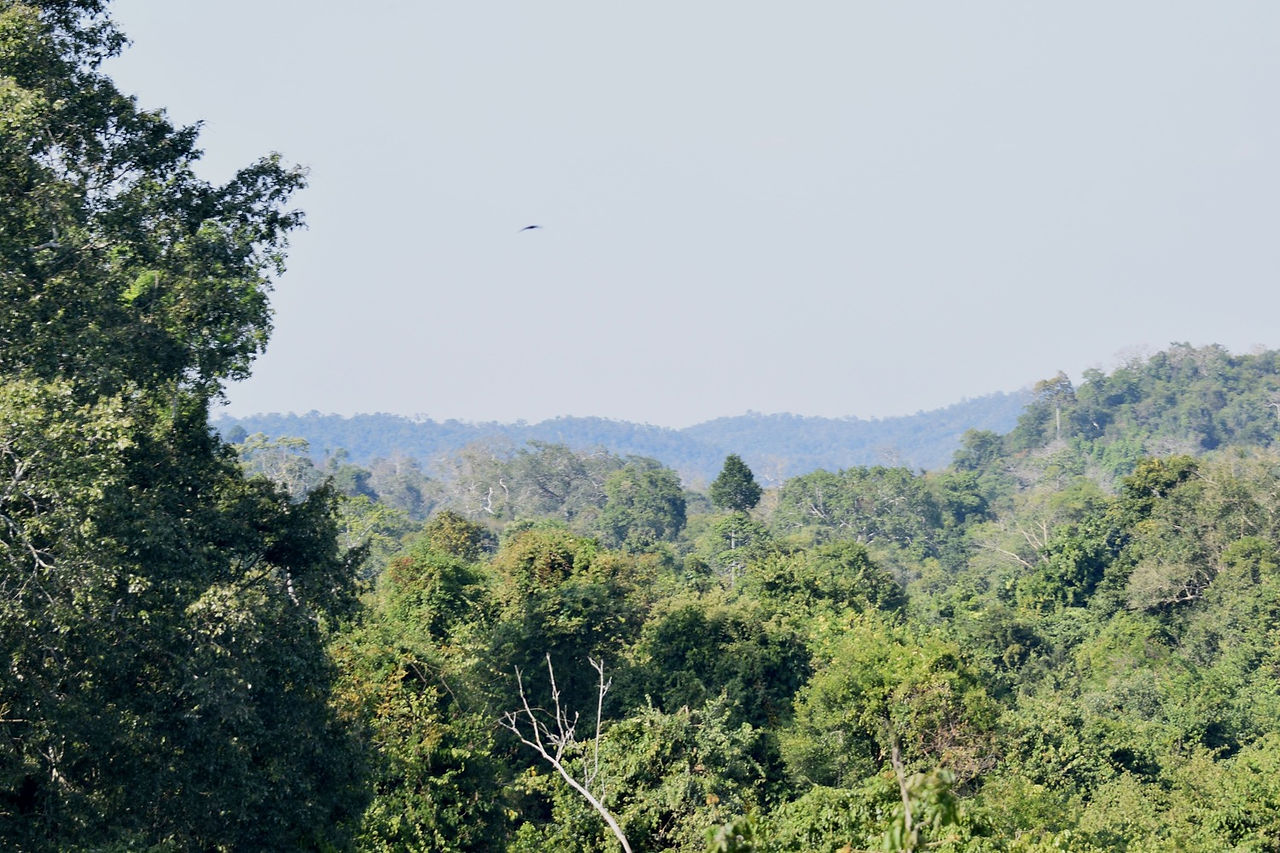 Paysages naturels du parc national de Kui Buri, refuge des éléphants sauvages en Thaïlande