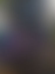 Voyage responsable en Thaïlande : Agir pour préserver la biodiversité marine sur une île